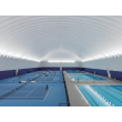 Arena 7