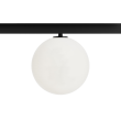 MagTrak Luna