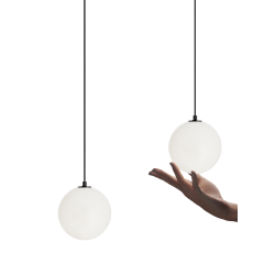 MagTrak Luna