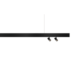 MagTrak P1 Track Head
