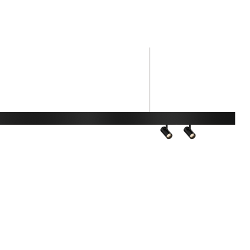 MagTrak P1 Track Head